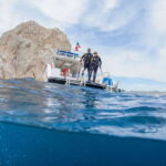 Los Cabos: 3-Hour Introductory Scuba Diving Adventure - Exploring the Sea of Cortez: Prime Diving Conditions Year-Round