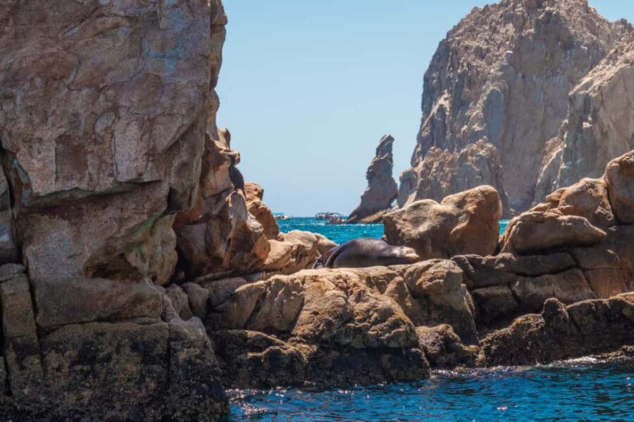 los cabos arch tour & drinks +snorkel tour - Scenic Boat Tour with Views of Los Cabos