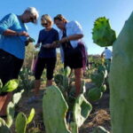 Los Cabos: Azteca Cactus Taco Farm to Table Cooking Class - Starting Point: Cabo San Lucas to a Local Baja Farm