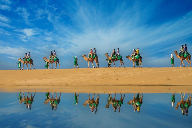 Los Cabos Camel Ride Adventure On The Beach - Learning About Camels Before the Ride
