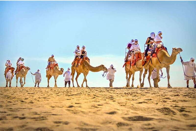 Los Cabos: Desert & Sea Camel Safari Tour with Lunch - Scenic Camel Ride Along Baja California’s Coastline