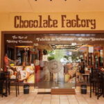 Los Cabos Famous Arch cruise, City tour and Lunch - Exciting Boat Ride to the Iconic Arch of Cabo San Lucas