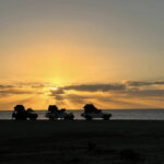 Los Cabos: Immersive 3-Day Desert Adventure - Discovering Baja’s Desert and Marine Biology