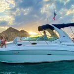 Los Cabos Private Yacht Whale Watching Tour, Snorkel and Drinks - Prime Whale Watching During Mating Season