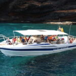 Los Gigantes: Whale or dolphin watching and swimming tour in Masca - The Itinerary and Main Stops