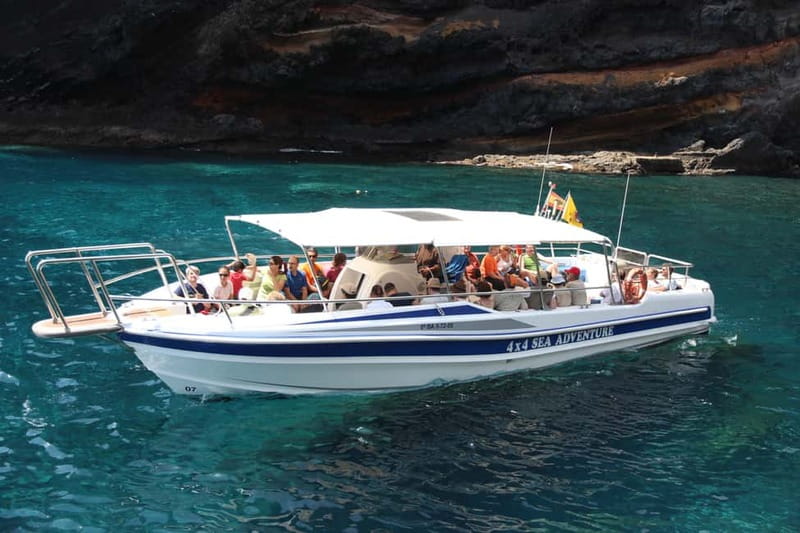 Los Gigantes: Whale or dolphin watching and swimming tour in Masca - The Itinerary and Main Stops