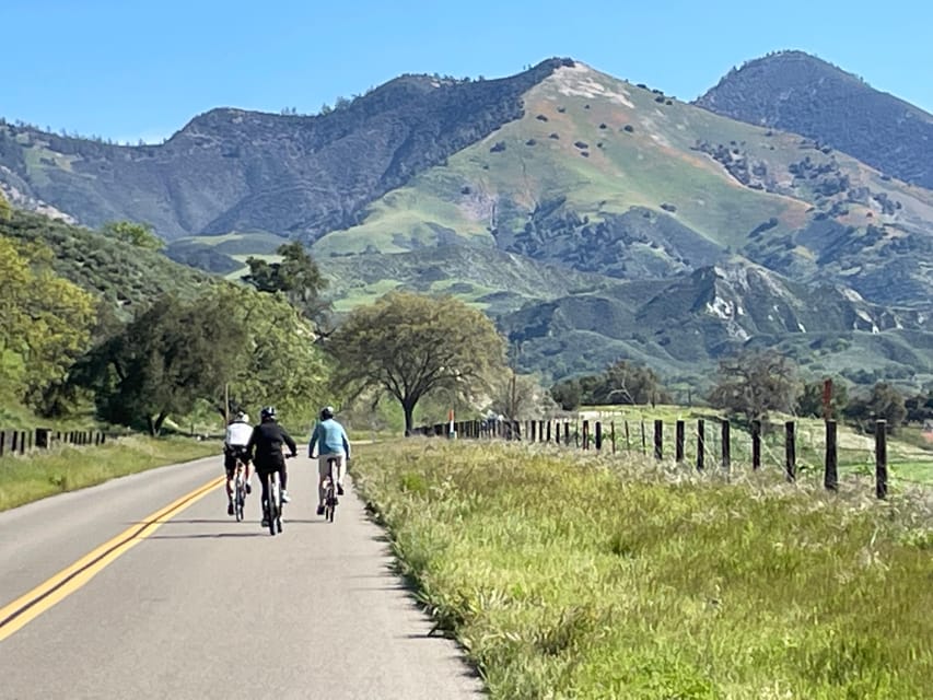 Los Olivos: E-Bike Tour + Vineyard Lunch w/Wine Tasting - Meeting at Santa Barbara Wine Country Cycling Tours in Santa Ynez