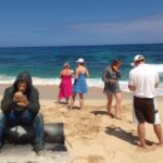 'Lost' and Movie Tour - Vehicle Types and Comfort Levels