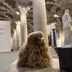 Louvre: All the stars of museum - Private guided 3h tour & entry - Meeting Point and End Location at Palais Royal