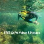 Lower Grand Lagoon: Panama City Beach Guided Snorkeling Tour - Snorkeling at St. Andrews State Park’s Jetties