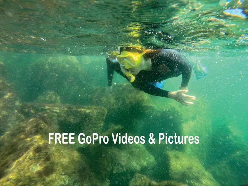 Lower Grand Lagoon: Panama City Beach Guided Snorkeling Tour - Snorkeling at St. Andrews State Park’s Jetties