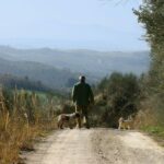 Luck and Patience: truffle hunting in Tuscany - Scenic Trails and Nature in Valdichiana Senese