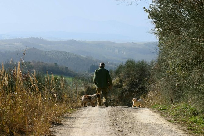 Luck and Patience: truffle hunting in Tuscany - Scenic Trails and Nature in Valdichiana Senese