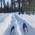 Luleå: Nordic Touring Skiing Adventure - The Scenic Journey over Land and Ice