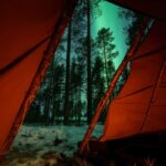 Luleå: Sami Culture, Reindeer, and Northern Lights Tour - Starting Point at First Camp in Luleå
