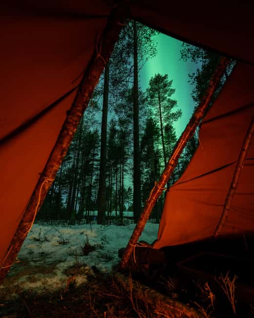 Luleå: Sami Culture, Reindeer, and Northern Lights Tour - Starting Point at First Camp in Luleå