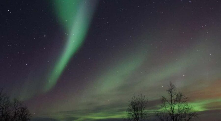 Luleå: Snowmobile Adventures & Northern Lights Hunt - How the Snowmobile Ride Is Organized