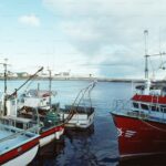 Luxury 3-Day Coastal Getaway: Iconic Highway 1 from SF to LA - Day 2: Iconic Drives, Charming Towns, and Scenic Trails