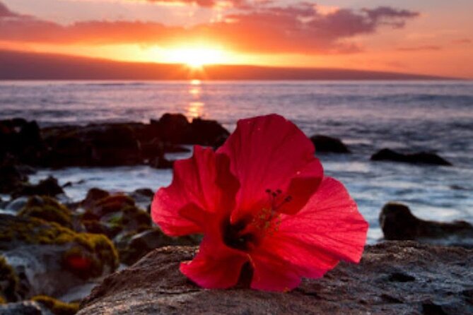 Luxury Airport Transfer in Hawaii - Meet Your Chauffeur: Hawaiian Hospitality and Professionalism