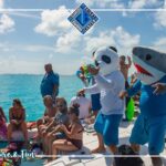 Luxury Catamaran tour to isla mujeres with transportation from Tulum - Boarding the Luxury 45-Foot Catamaran