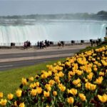 Luxury Day Trip: Niagara on the Lake, Wine & Falls - Starting Point and Transportation Logistics