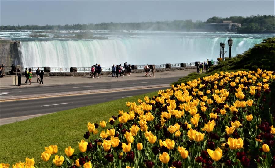 Luxury Day Trip: Niagara on the Lake, Wine & Falls - Starting Point and Transportation Logistics
