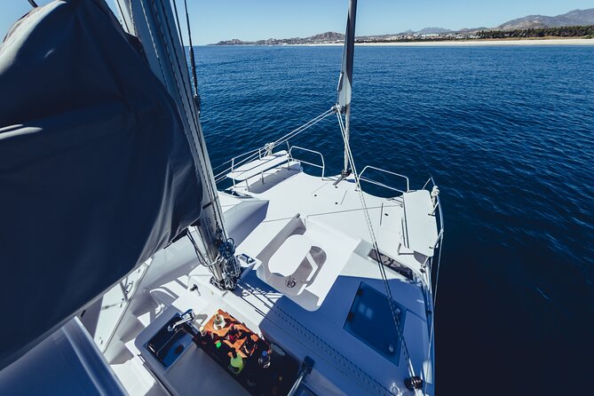 Luxury Sailing Whale Watch and The Arch (Dec 15 - Apr 15) - Small Group Luxury: Intimate Whale Watching