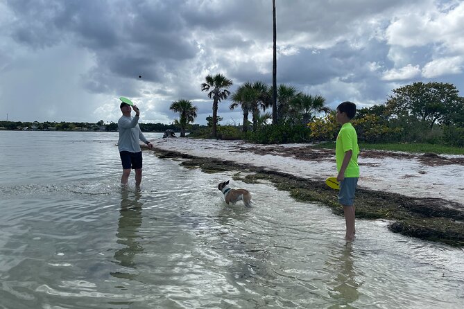 Luxury Single Kayak Tour To An Island Off Clearwater Beach! - Detailed Route and Highlights of the Paddle