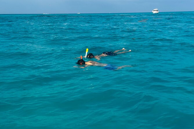 Luxury Snorkeling Excursion in Cancun MasterCraft X-Star 2hr - Scenic Cruise Across Cancun’s Blue Waters