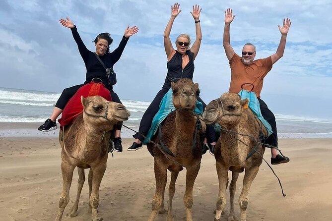 Luxury Tangier Private Day Tour from Malaga All inclusive - Starting from Malaga: Comfortable Luxury Transport to Tarifa