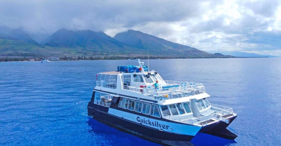 Ma'alaea Harbor: Whale Watching Tour Aboard Power Catamaran - The Double-Deck Power Catamaran Design