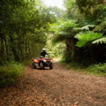 Madeira: Aventura Off-Road de ATV ou Quad - Adrenalina - Exploring Madeira’s Ecological Trails and Nature Parks