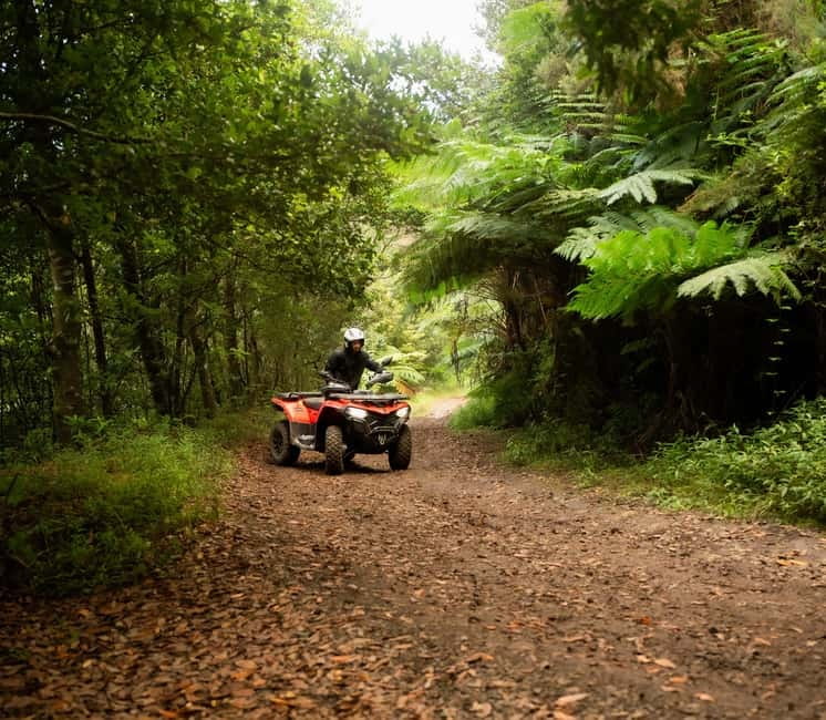 Madeira: Aventura Off-Road de ATV ou Quad - Adrenalina - Exploring Madeira’s Ecological Trails and Nature Parks