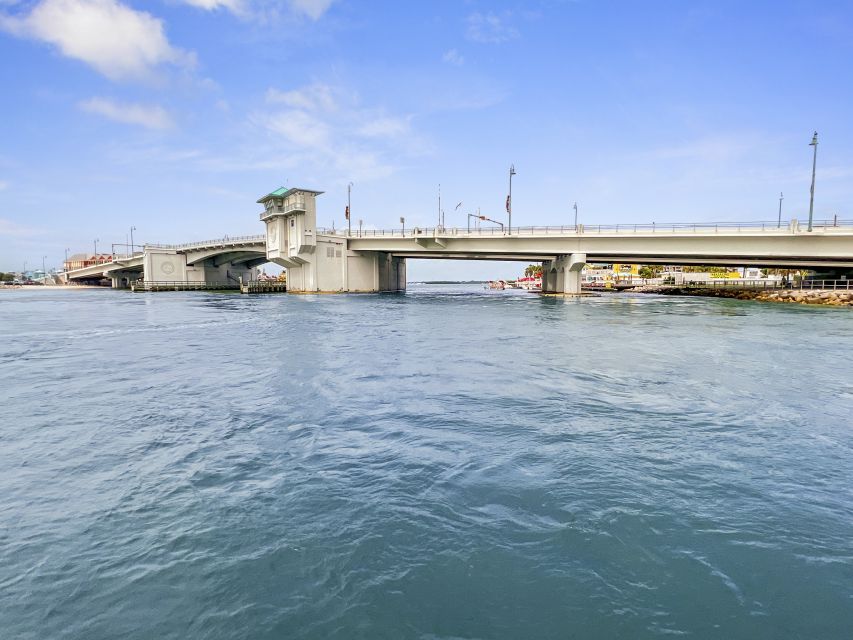 Madeira Beach: Guided Dolphin Watching Eco-Friendly Cruise - What You Will See on the Boca Ciega Bay Cruise