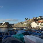 Madeira: Câmara de Lobos & Cabo Girão Half-Day Jeep Tour - Starting Point and Tour Schedule in Madeira