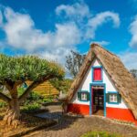 Madeira East Tour from Funchal - Ribeiro Frio: Trout Farm and Prehistoric Forest