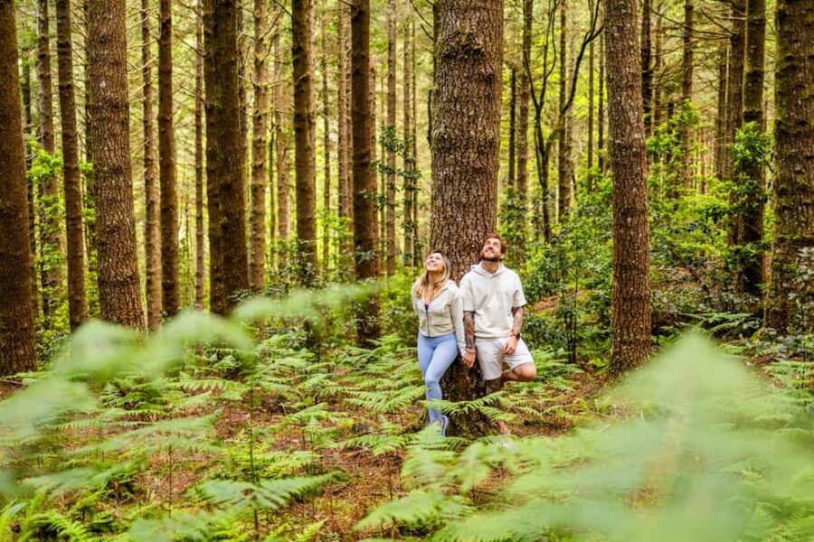 Madeira: Half-Day Guided Photo Tour - Convenient Pickup From Prominent Hotels in Funchal