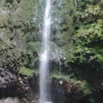 Madeira: Private Guided Levada Caldeirão Verde Walk PR9 - Madeira’s Caldeirão Verde: An Invitation to Nature’s Gallery