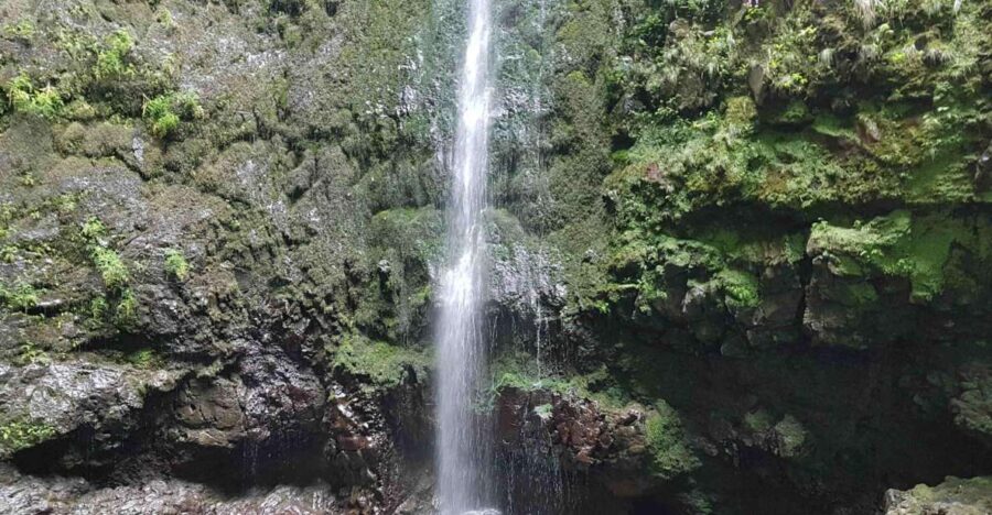 Madeira: Private Guided Levada Caldeirão Verde Walk PR9 - Madeira’s Caldeirão Verde: An Invitation to Nature’s Gallery
