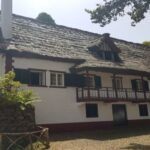 Madeira: Private Half-Day North East Island Tour - Starting Point: Convenient Pickup at Funchal Cruise Port