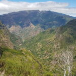 Madeira: Private Laurisilva Tour - Comfortable Pickup and Drop-off at Funchal Port