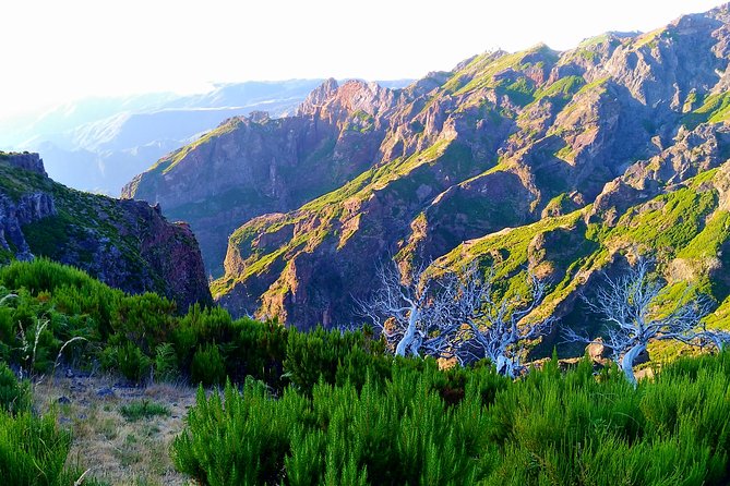 Madeira Top Sunrise - The Experience of Walking in the Dark with Starry Skies