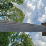 Madrid: El Capricho Park Tour - Inside the 18th-Century Palace