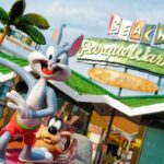 Madrid: Parque Warner Beach Entry Ticket - Easy Access and Convenient Location Near Madrid