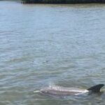 Magic of Nature Guided Kayak Eco Tour - Paddling Through Mosquito Lagoon’s Pristine Waters