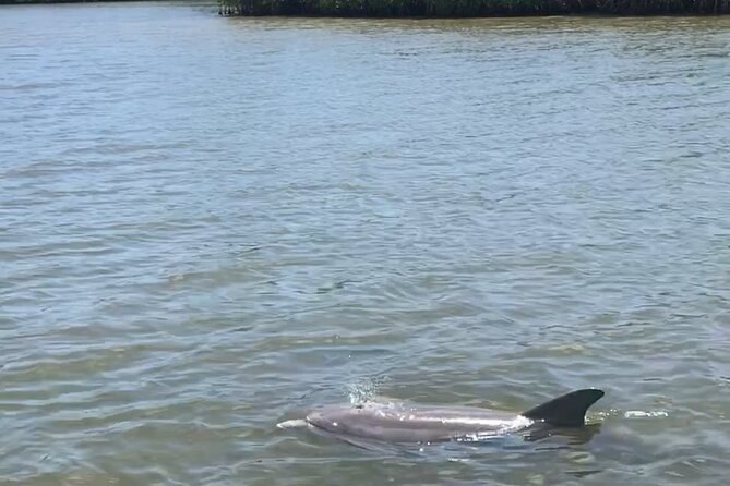 Magic of Nature Guided Kayak Eco Tour - Paddling Through Mosquito Lagoon’s Pristine Waters