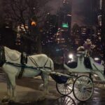 Magical Evening Horse-Drawn Carriage through NYC (65 min) - Riding Down Fifth Avenue: A Window into NYC’s Luxury and History