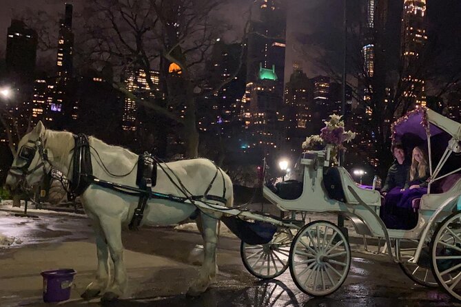 Magical Evening Horse-Drawn Carriage through NYC (65 min) - Riding Down Fifth Avenue: A Window into NYC’s Luxury and History