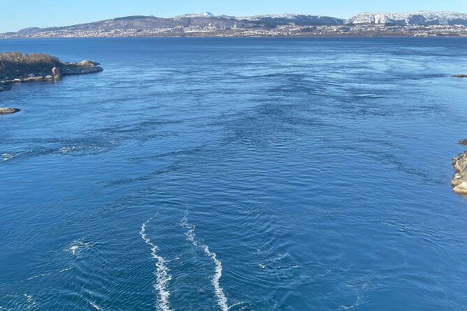 Magical Saltstraumen Tour - Meeting Point and Logistics in Bodø