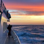 Magical Whales in the Midnight Sun | from Reykjavik - The Comfort and Practicality of the Boat and Facilities